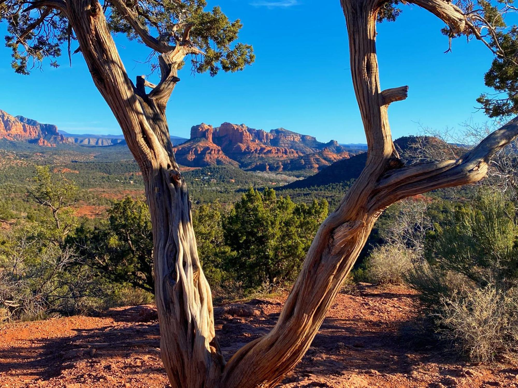 Sedona'S Paradise Found, Saltwater Pool And Hot Tub, Private Oasis! Zewnętrze zdjęcie